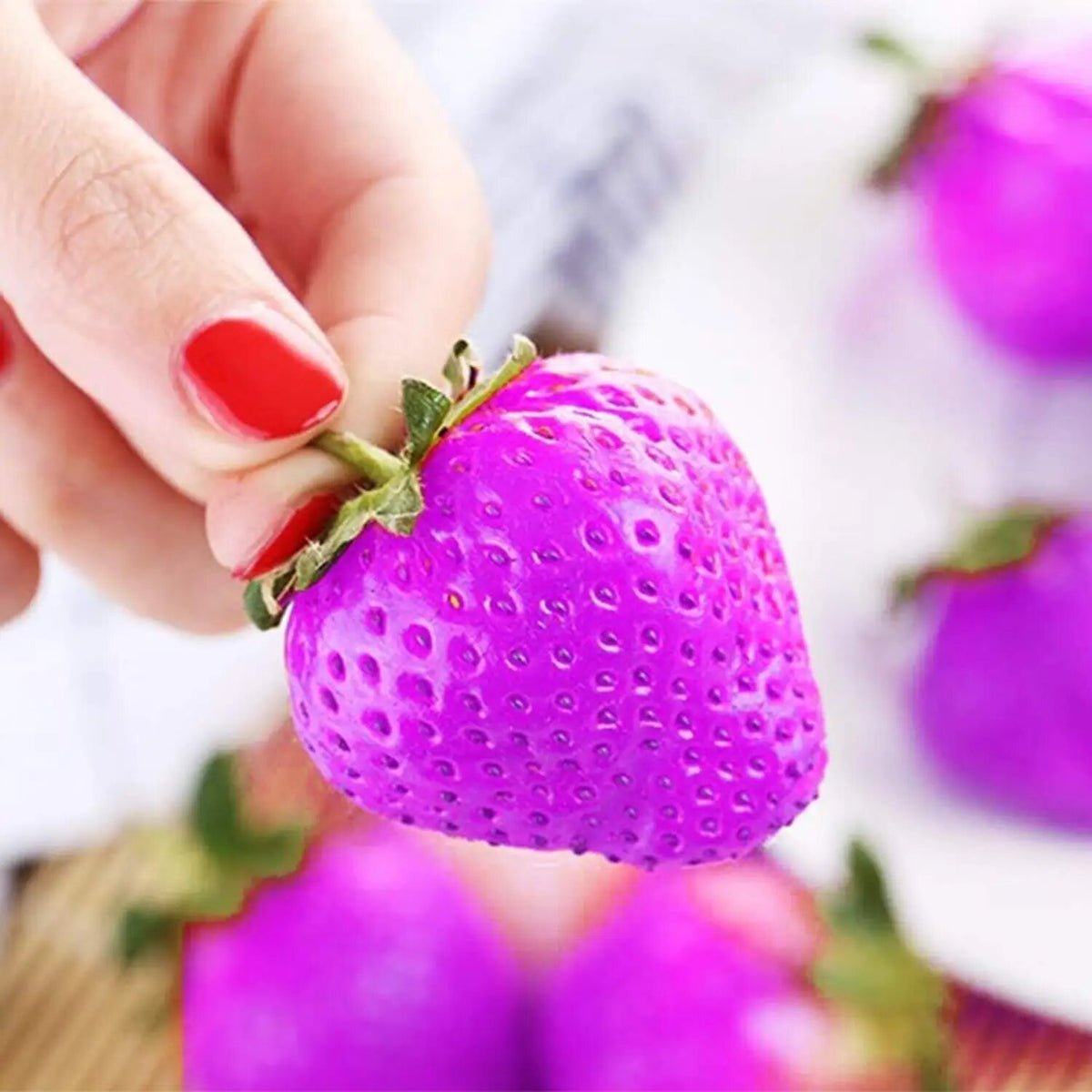 Purple Strawberry Fruit Seeds for Planting – Unique Garden Strawberry Variety