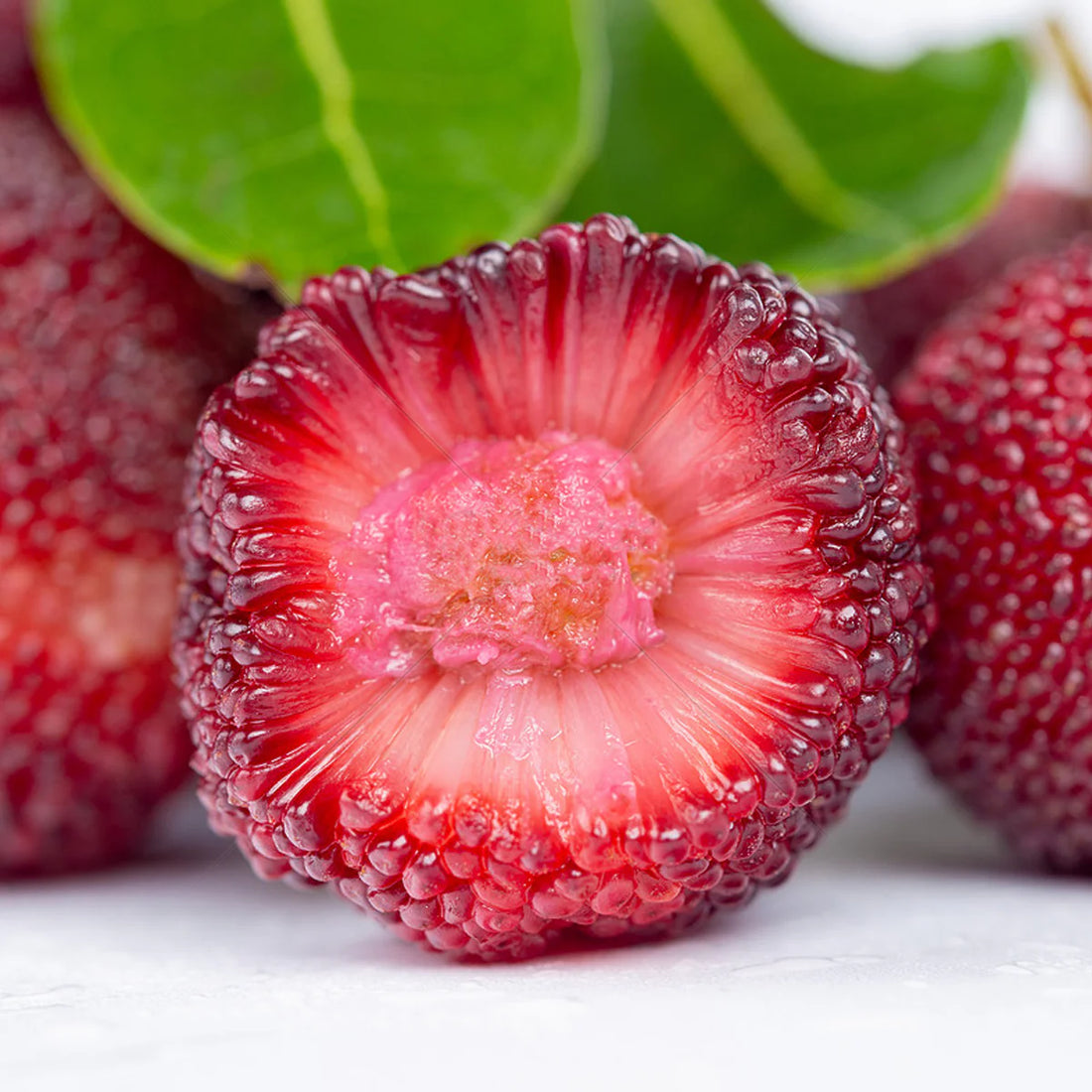 bayberry fruit seeds