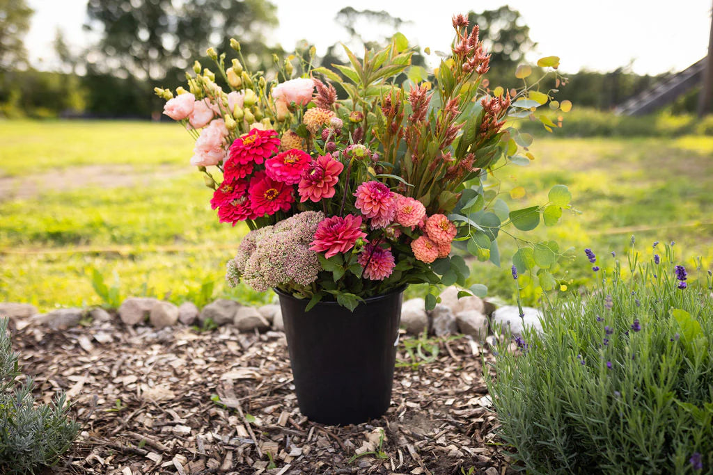 Beautiful Blooms flower seeds