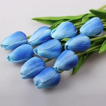 Tulip Sky flower seeds