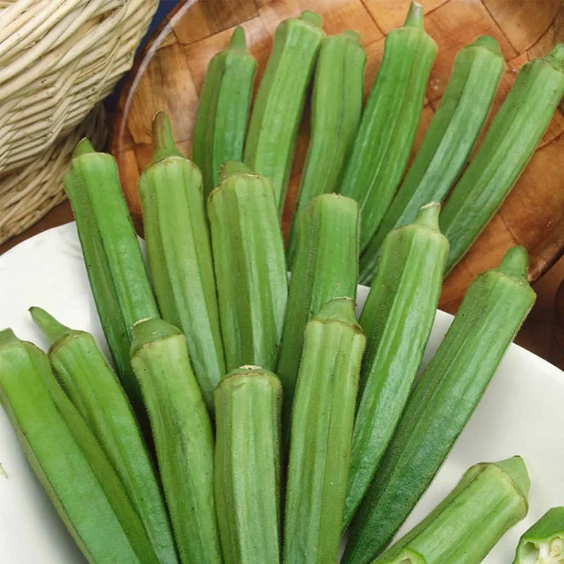 Clemson Spineless Okra Seeds for Planting – Heirloom Garden Seeds