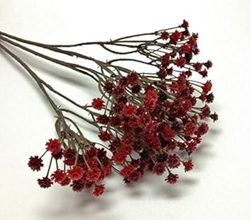 Dark Red flower seeds
