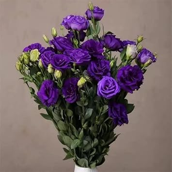 Deep Blue flower seeds