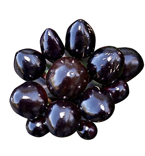 Hawk Ornamental Pepper plant