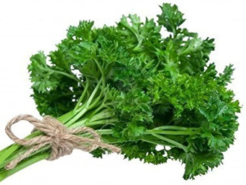 Parsley Seeds for Planting – Petroselinum crispum Heirloom Garden Seeds