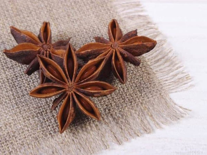 Anise Myrrhis flower seeds