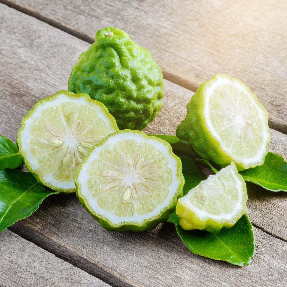 Bergamot Orange plant