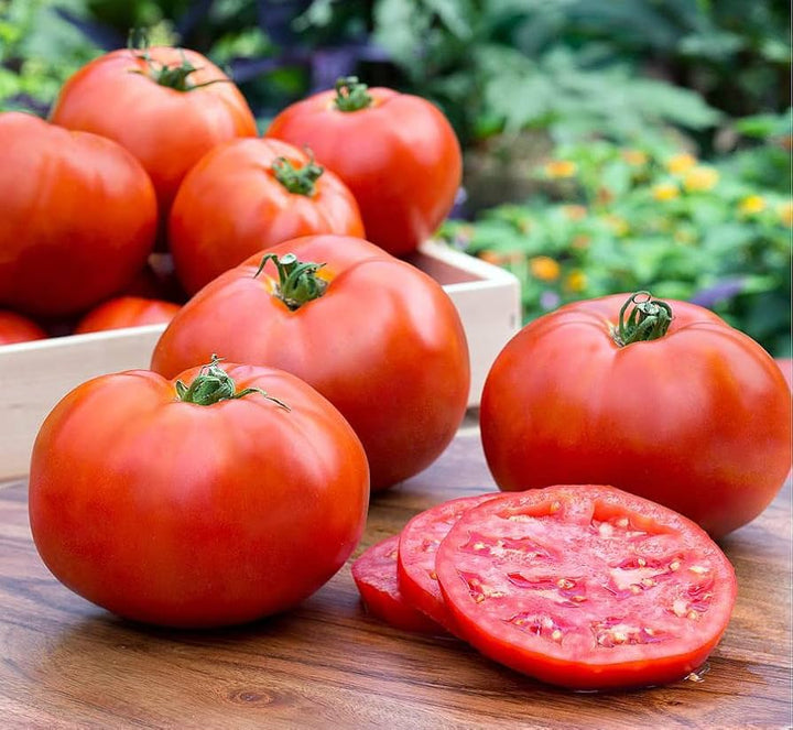Better Boy Tomato Seeds