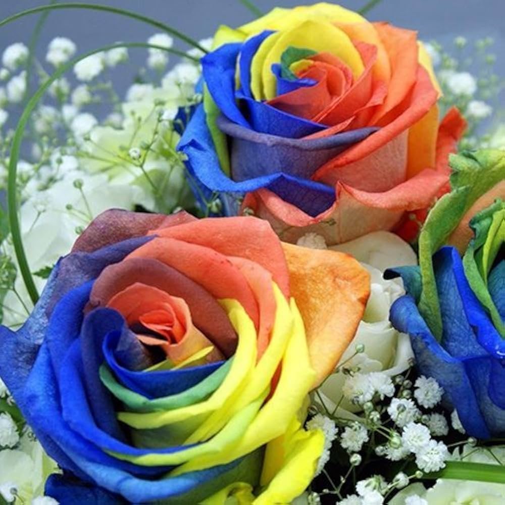 Rainbow flower seeds
