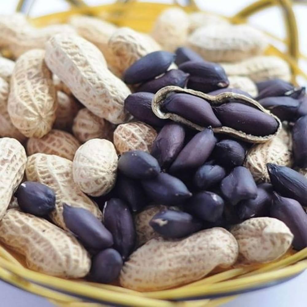 Blue Peanut plant