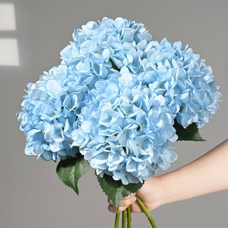Sky Blue Hydrangea Flower Seeds for Planting – Heirloom Non-GMO Garden Seeds