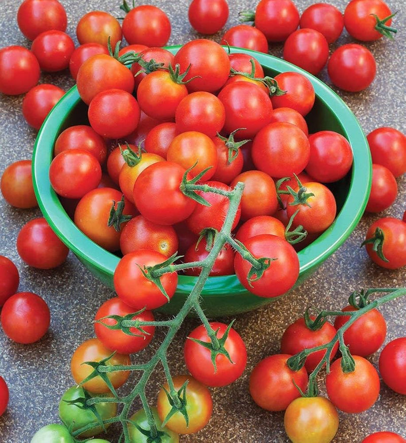Cherry Tomato Vegetable Seeds for Planting – Heirloom Non-GMO Garden Seeds
