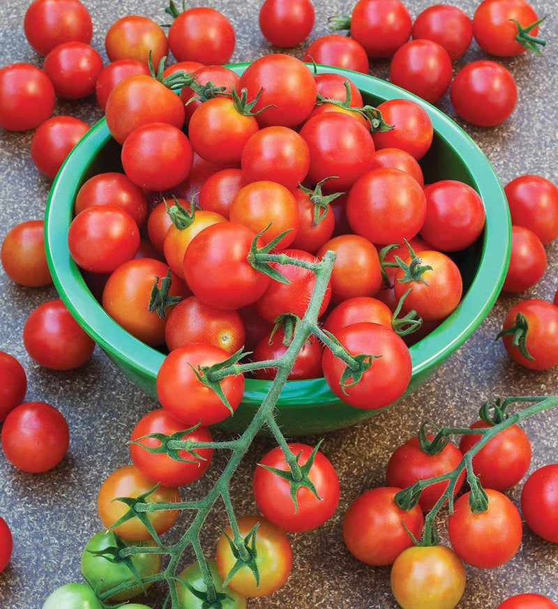 Cherry Tomato Vegetable Seeds for Planting – Heirloom Non-GMO Garden Seeds