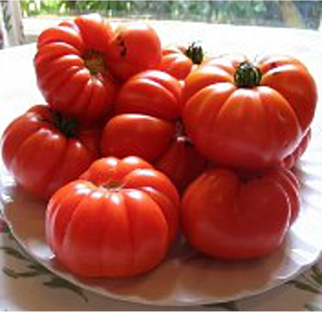 Aussie Tomato Seeds