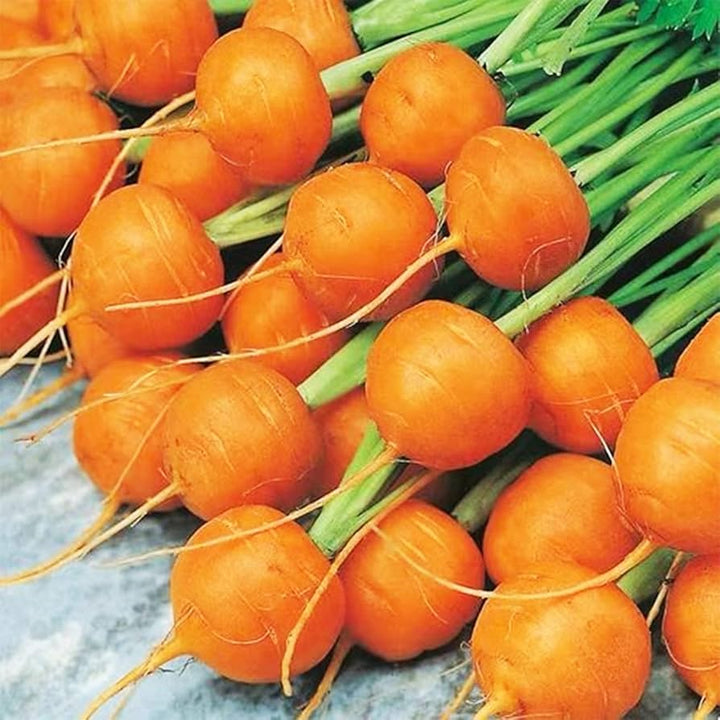 Parisian Carrot Seeds