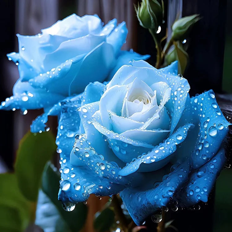 Ice Blue flower seeds
