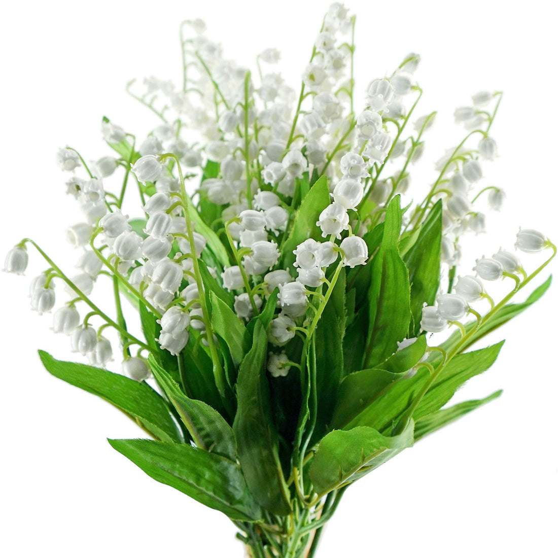 Lily Of flower seeds