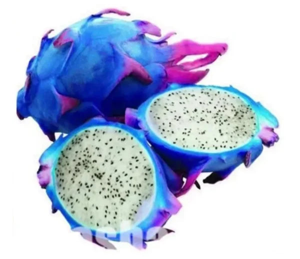 sky blue pitaya seeds