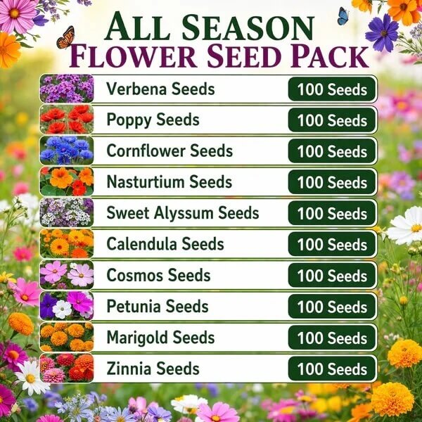 Flower Seed Pack plant