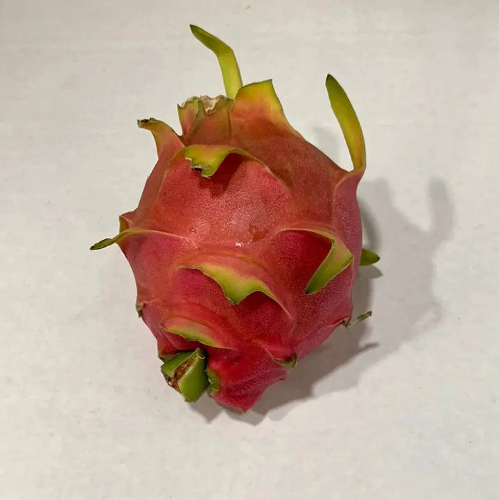 red pitaya seeds
