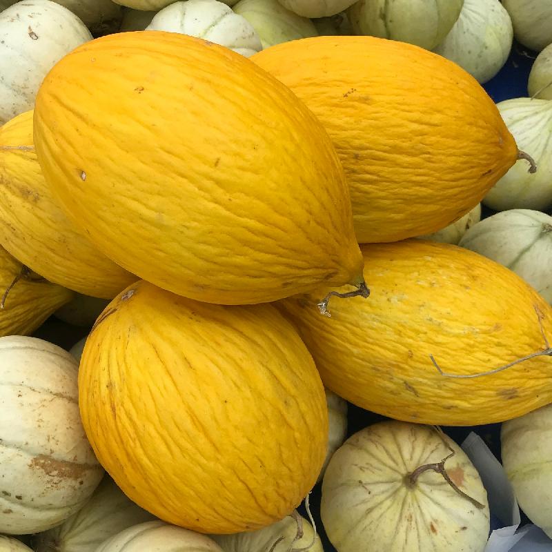 yellow crenshaw melon seeds