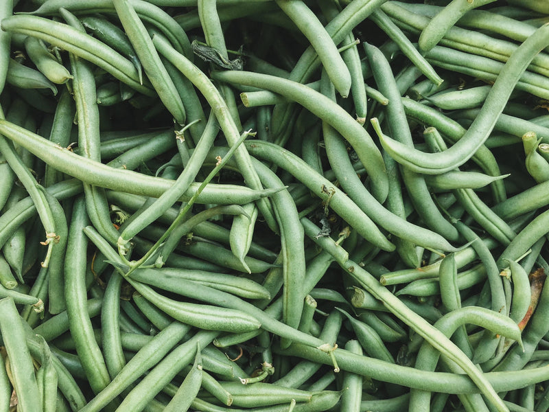 Mixed Pinto Bean Seeds for Planting – Heirloom Garden Collection