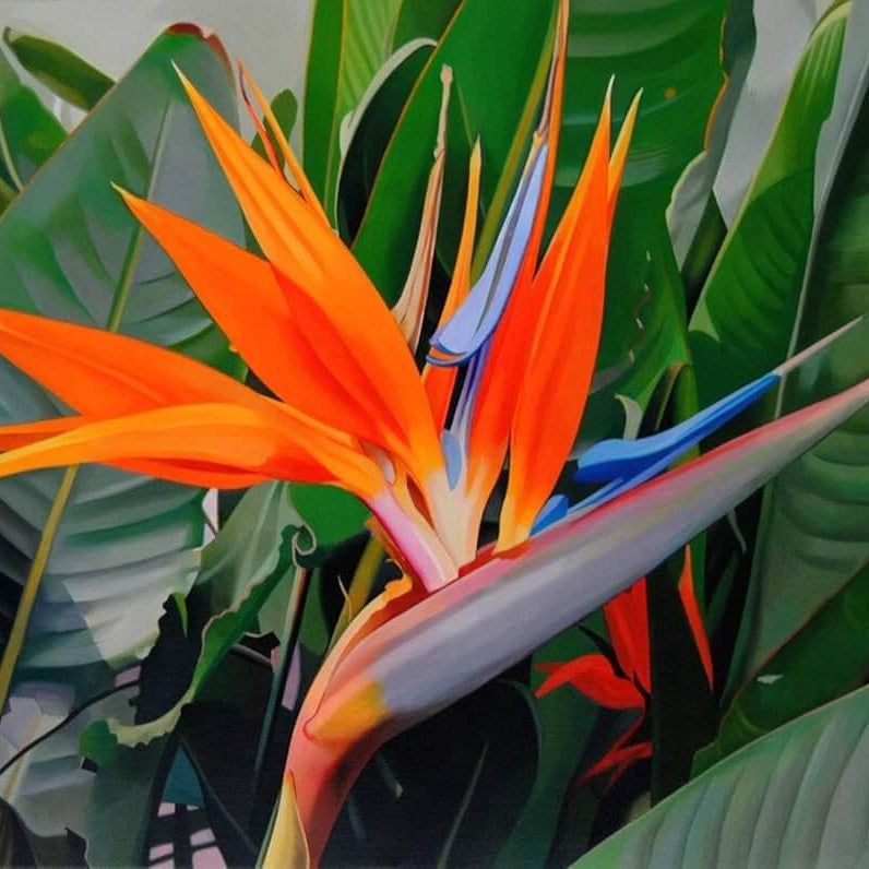 Flower Collection Kit plant