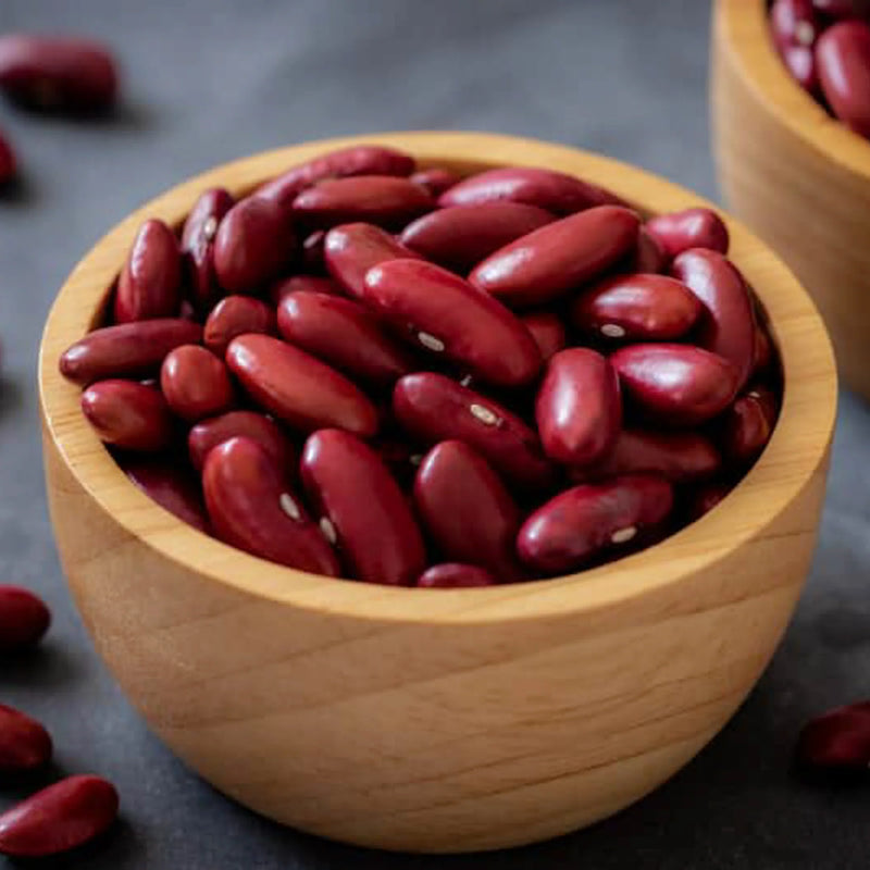 Red Kidney Bean Seeds for Planting – Heirloom Garden Seeds