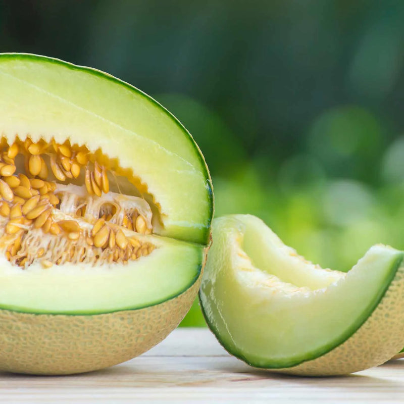 Rocky Ford Cantaloupe Seeds for Growing – Heirloom Non-GMO Garden Seeds