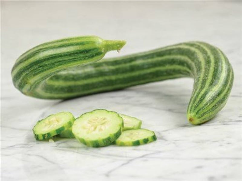 Snake gourd plant with long green fruits growing on a garden trellis