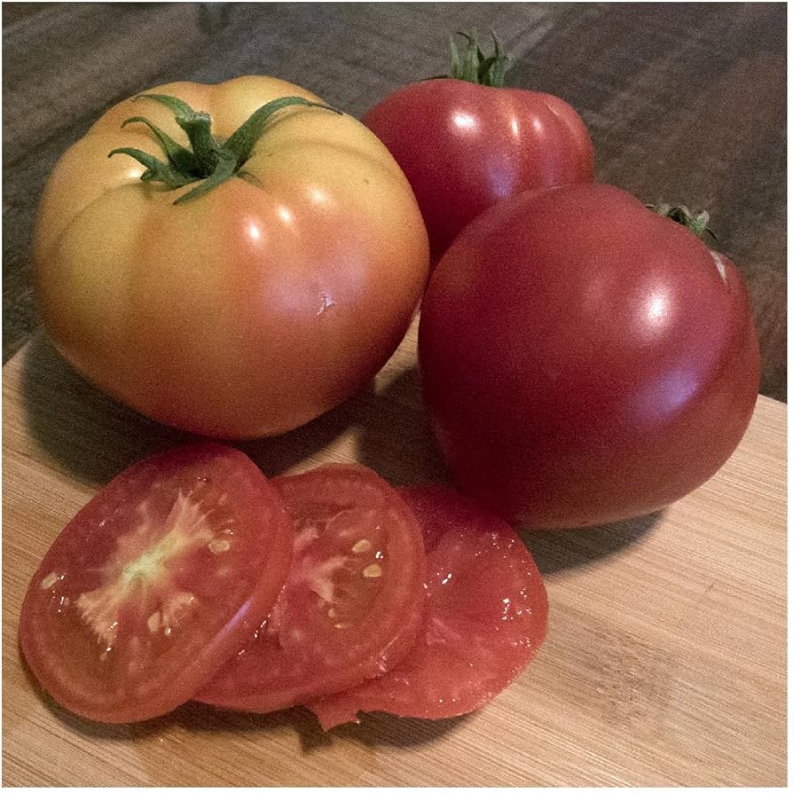 Abe Lincoln Tomato Seeds