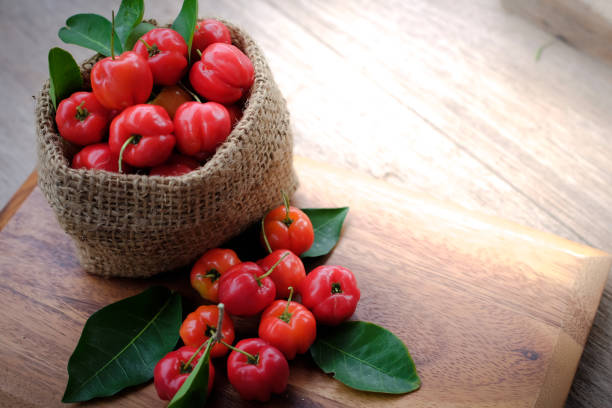 Sweet Acerola Cherry fruit plant with green foliage and colorful tropical fruit