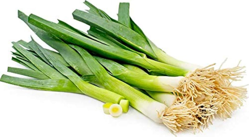 Casimir Leek Vegetable Seeds for Planting – Heirloom Non-GMO Garden Seeds