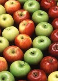 Mélange de graines de pommier pour la plantation – Graines de jardin ancestrales non OGM