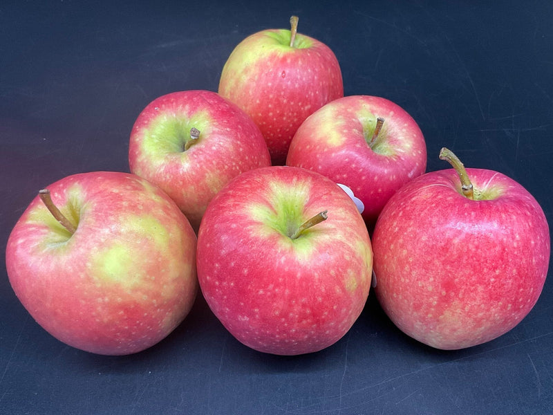 Pink and Green Apple Seeds for Planting – Heirloom Non-GMO Garden Seeds