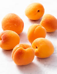 common apricot seeds