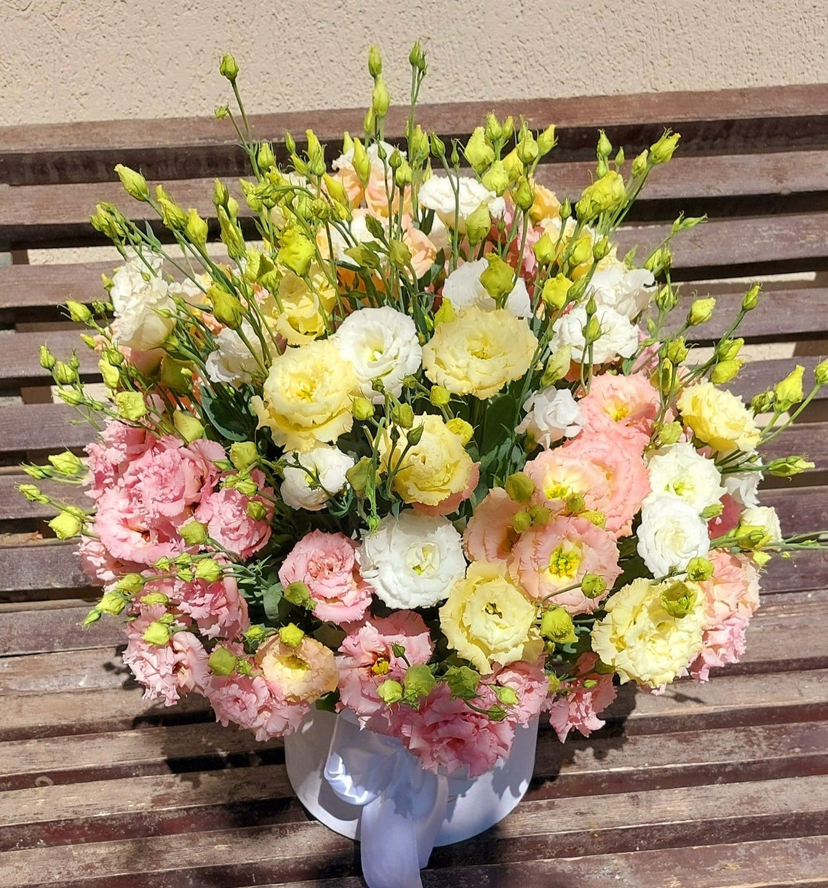 and Bold Lisianthus plant