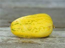Asian Apple Melon Fruit Seeds for Planting – Heirloom Non-GMO Garden Seeds