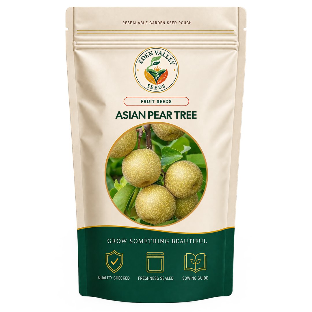 Asian Pear Tree growing in a garden