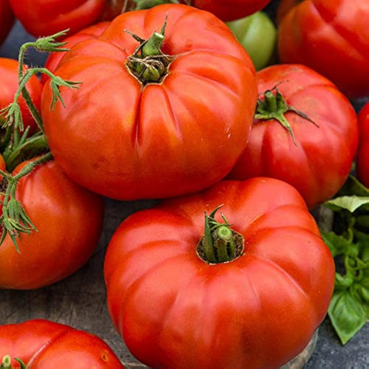 Beefsteak Tomato Seeds