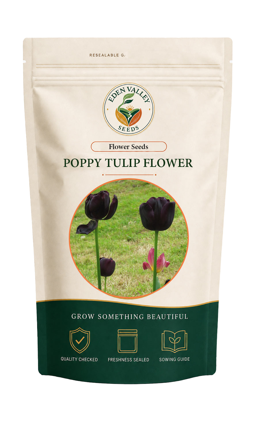 Black California Poppy Tulip Flower for home gardens