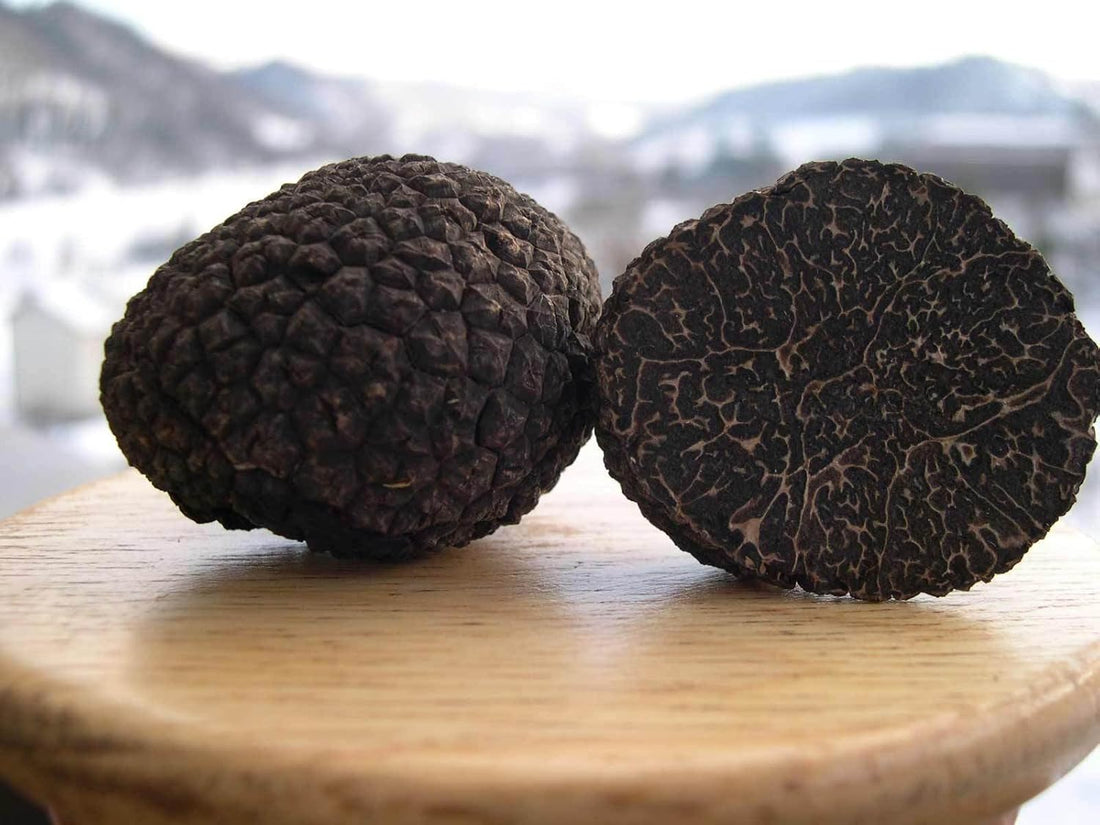 Black Mushroom Seeds