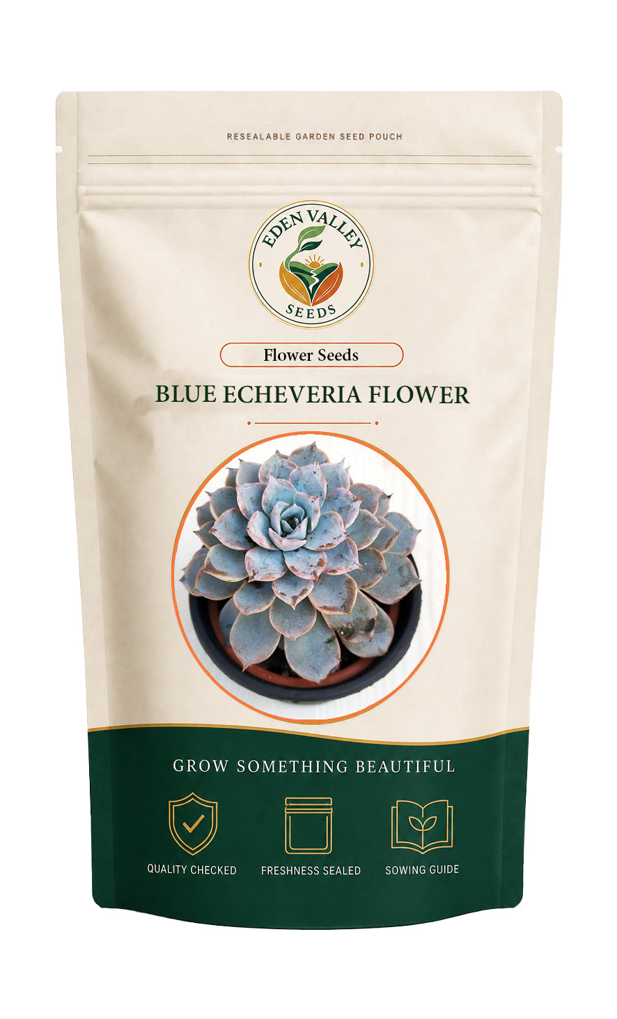 Blue Echeveria Derenbergii Flower Seeds for home gardens