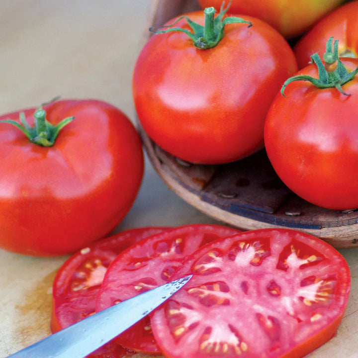 Burbank Tomato Seeds