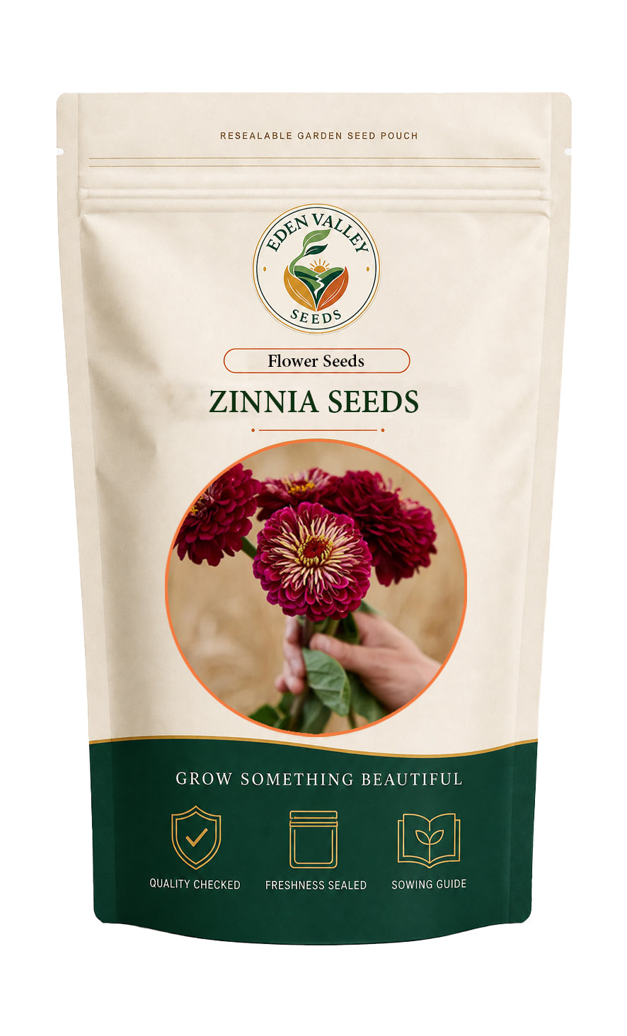 Burgundy Zinnia Elegans Seeds for Planting with rich burgundy blooms for home gardens