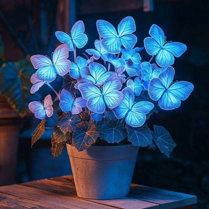 Moonlight Butterfly Begonia ornamental plant with decorative foliage, presented as a Blue Neon begonia seed variety for indoor gardening and sheltered plant displays.