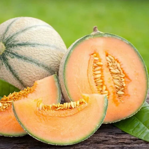 mixed cantaloupe seeds