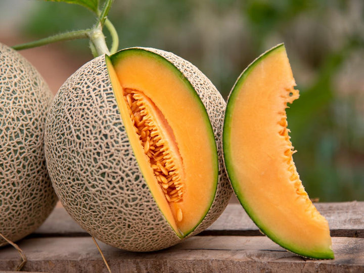 light orange cantaloupe seeds