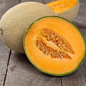 cantaloupe seeds