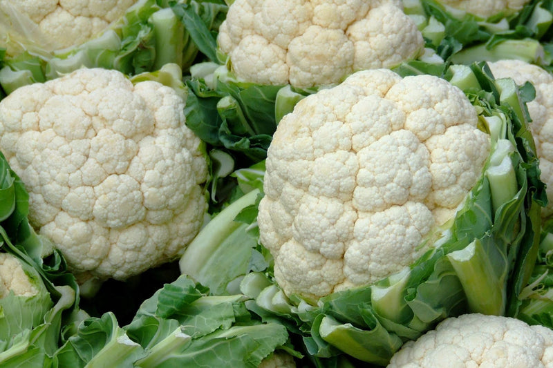 Cauliflower Seeds for Planting – Heirloom Non-GMO Garden Seeds
